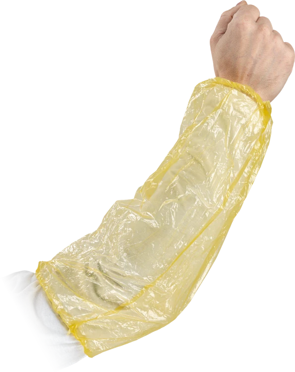 0081681968.png
