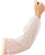 0081681584.png
